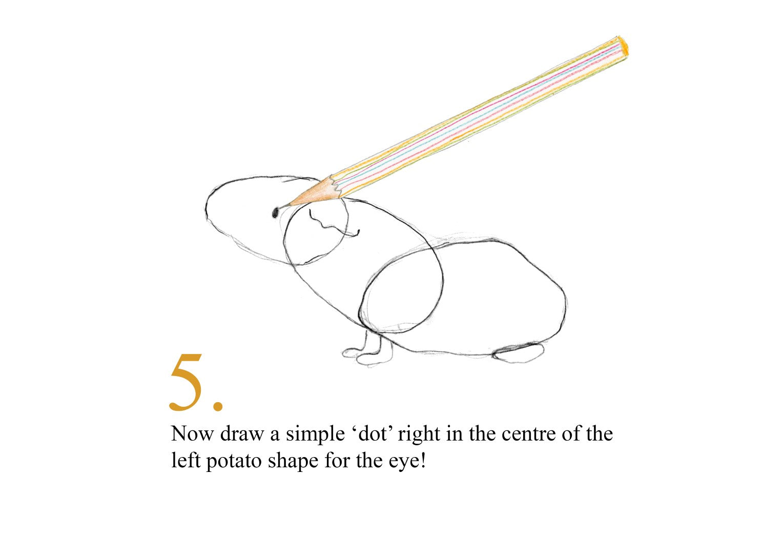Catherine Rayner - How to Draw a Guinea Pig - Part 5
