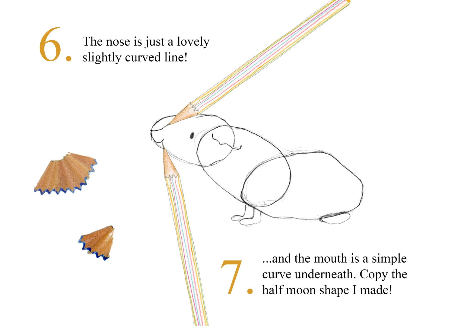 Catherine Rayner - How to Draw a Guinea Pig - Part 6 & 7