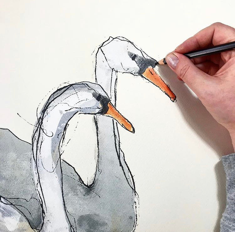 Catherine Rayner - Printing - Lucy & Martin
