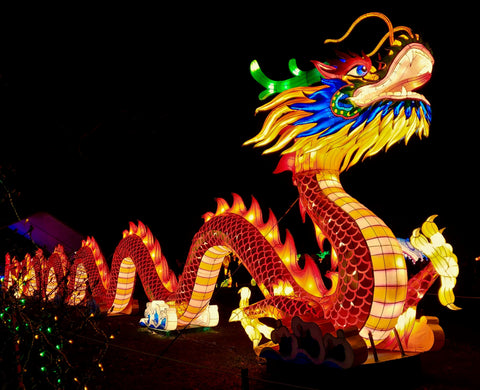 nouvel an chinois dragon