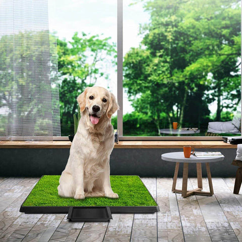 Pet Toilet Litter Grass Patch For Dogs with Tray