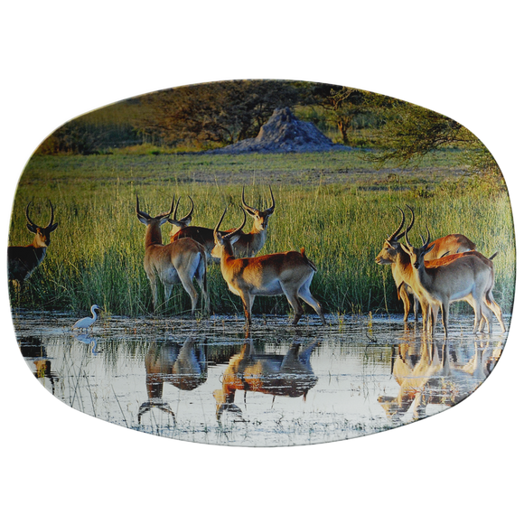 Antelope Platter