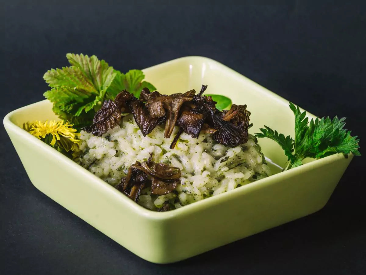 Natural Nordic trumpet chanterelle risotto