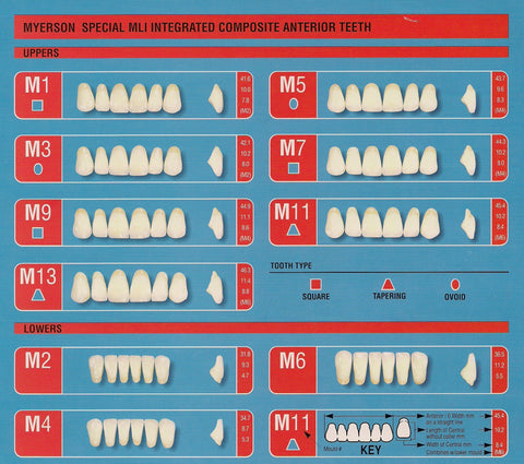 Myerson Special MLI Integrated Composite Anterior Teeth A2 – Specialty  Tooth Supply, Ltd