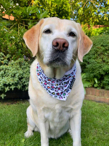 how to make a cooling bandana for dogs