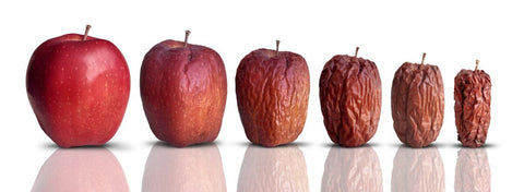 Aging process of an apple