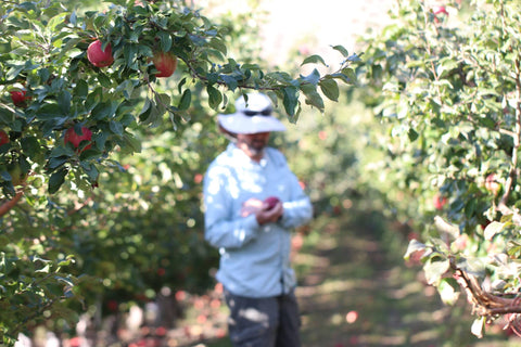 Support Farmers buy our Holiday Gift Boxes