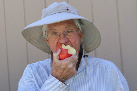 Grandpa biting into a SweeTango apple.