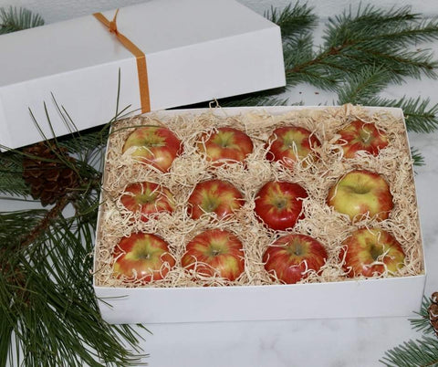 Honeycrisp apple gift box