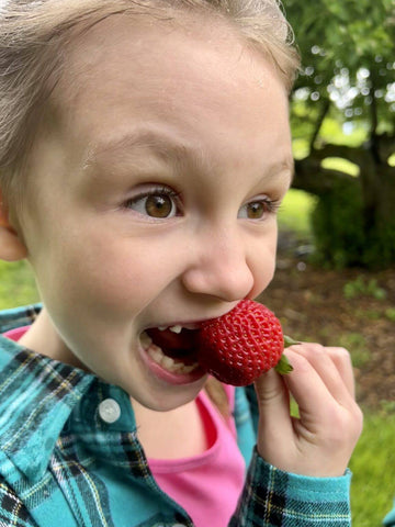 Organic strawberries make great backyard fruit