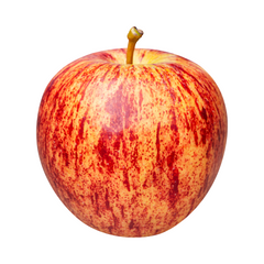 Exploring the Diverse World of Apple Varieties: Classics