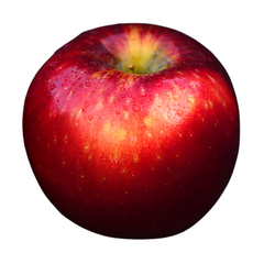 Exploring the Diverse World of Apple Varieties: Classics