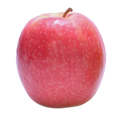 Ambrosia Apple