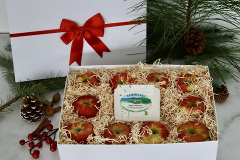 Winning Combination Holiday Gift Box