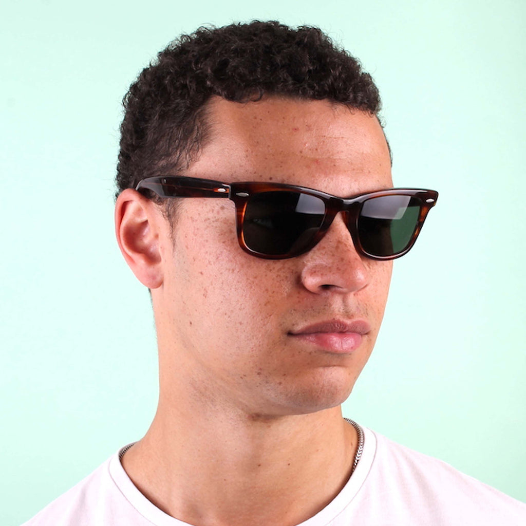 tortoiseshell wayfarer sunglasses