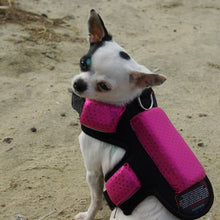 dog coyote vest spikes