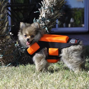 coyote protection suit for dogs