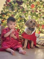 little boy and dog in red pjs in front of christmas tree