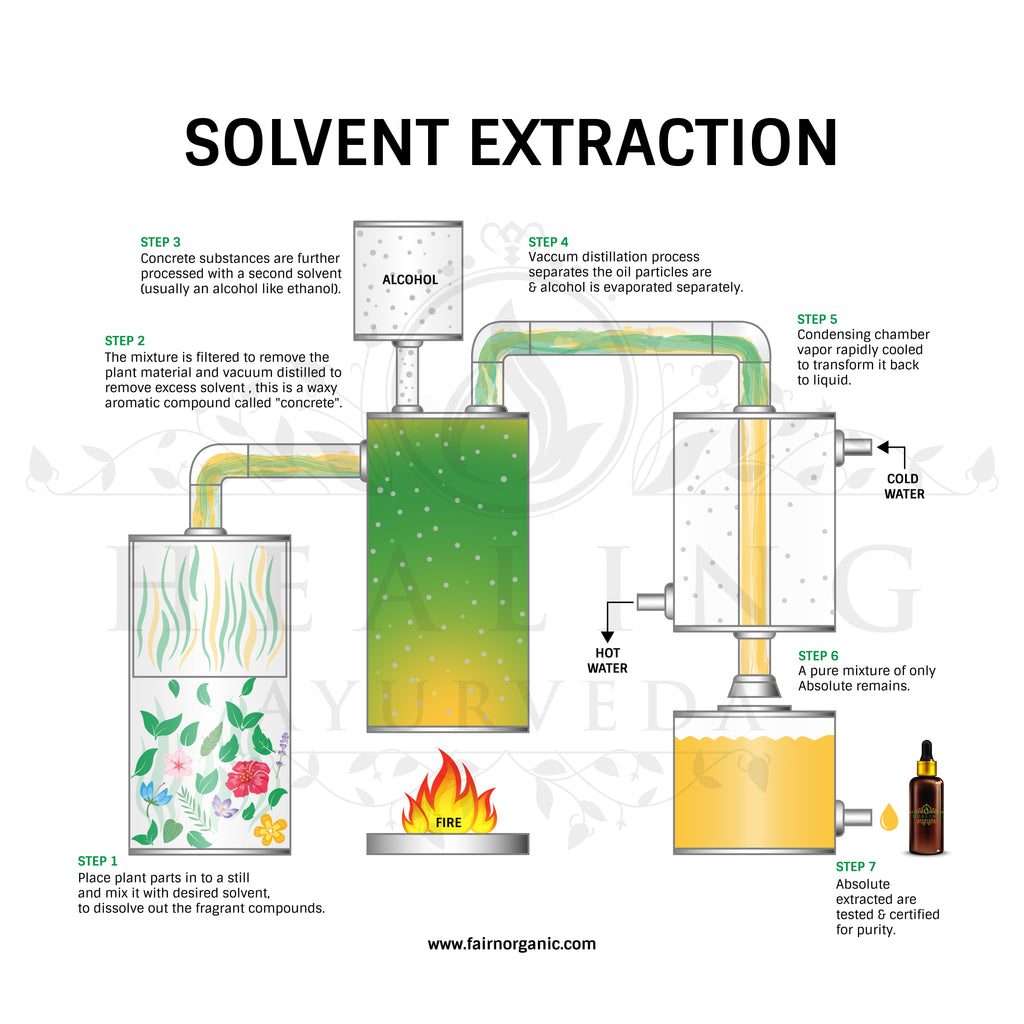 Extraction Process - vrogue.co