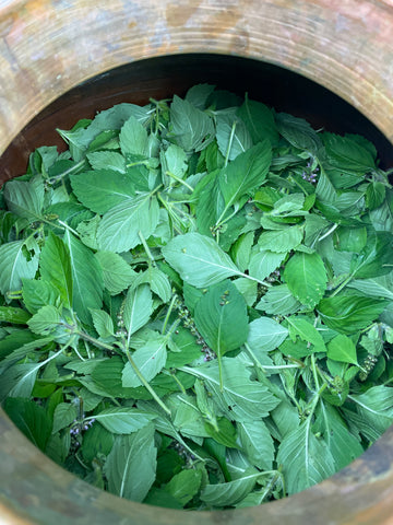 Tulsi in a copper still