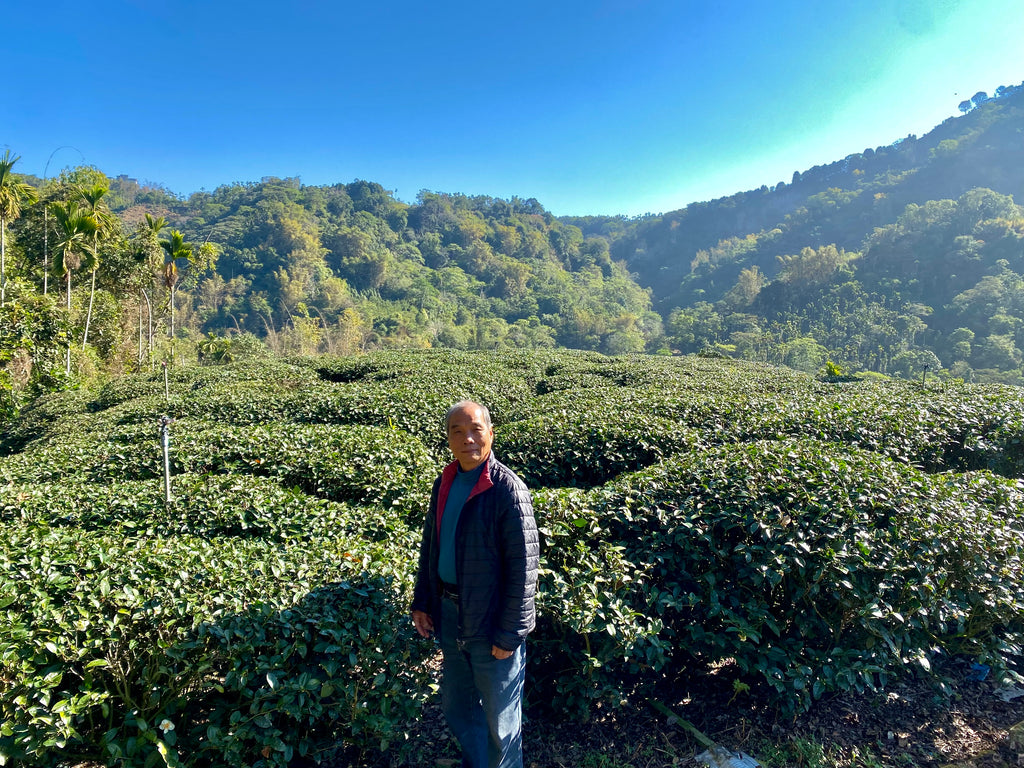 Artisan Oolong Tea Maker on his farm