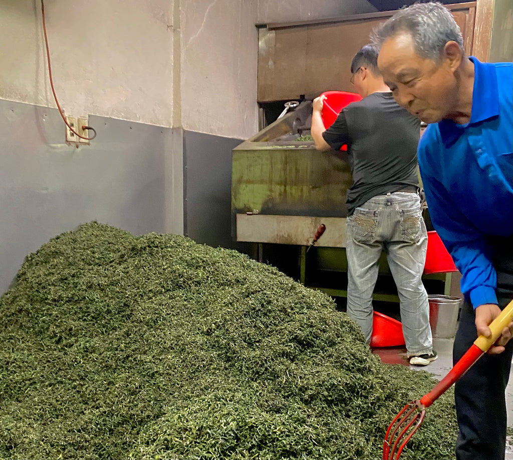 Bi Luo Chun Tea Factory