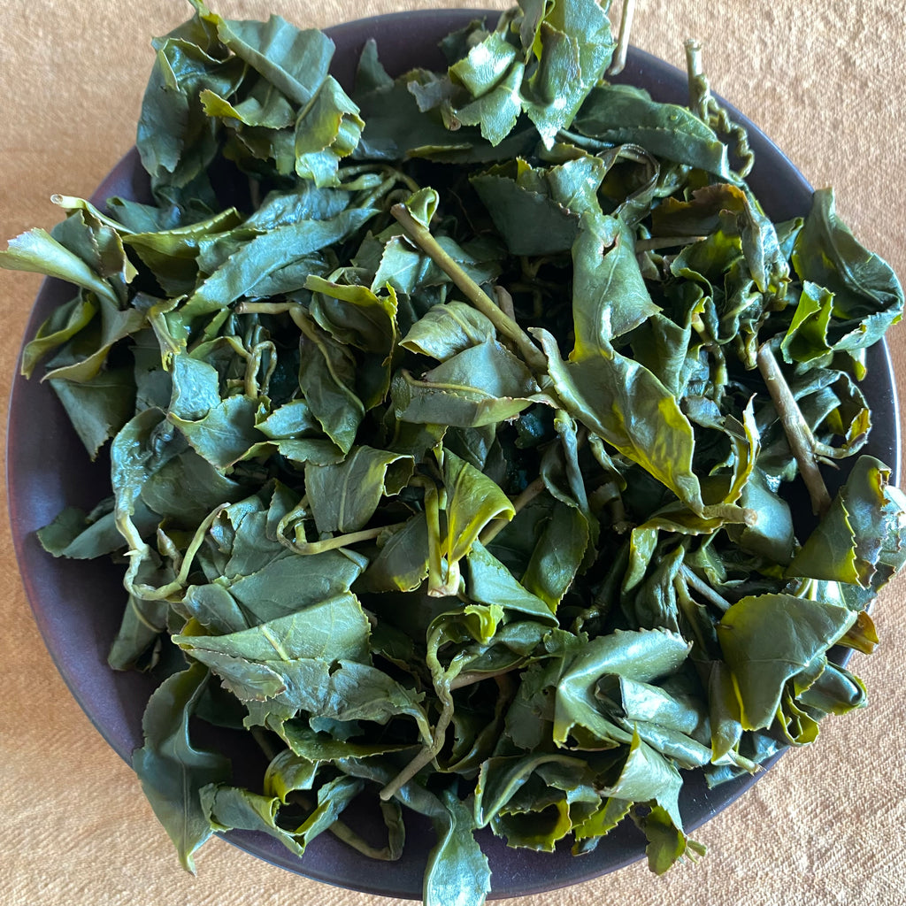 Shan Lin Xi High Mountain Oolong brewed tea leaves