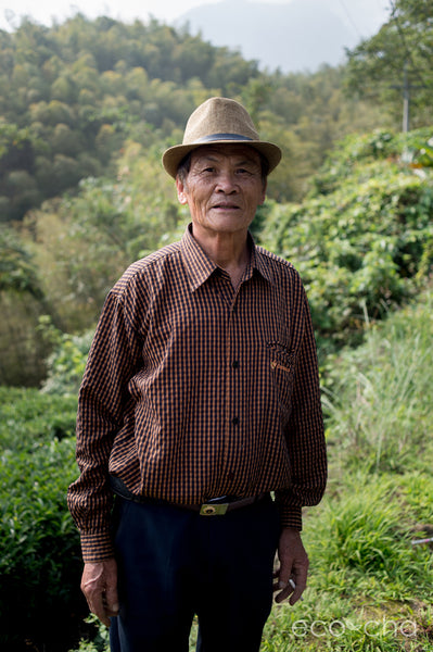 Pioneering Dong Ding tea farmer, our friend and teacher, Mr. Su on his farm in Yonglong Village.