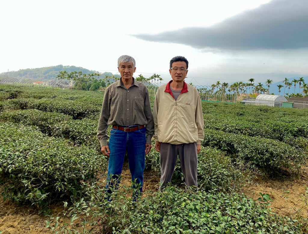Traditional Lugu Oolong Tea Farmers