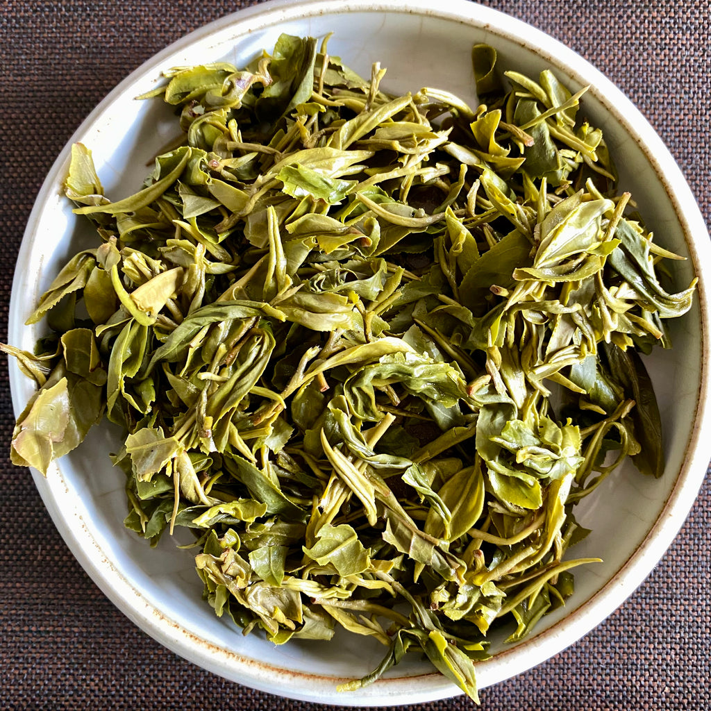 Early Spring Bi Luo Chun Green Tea brewed leaves