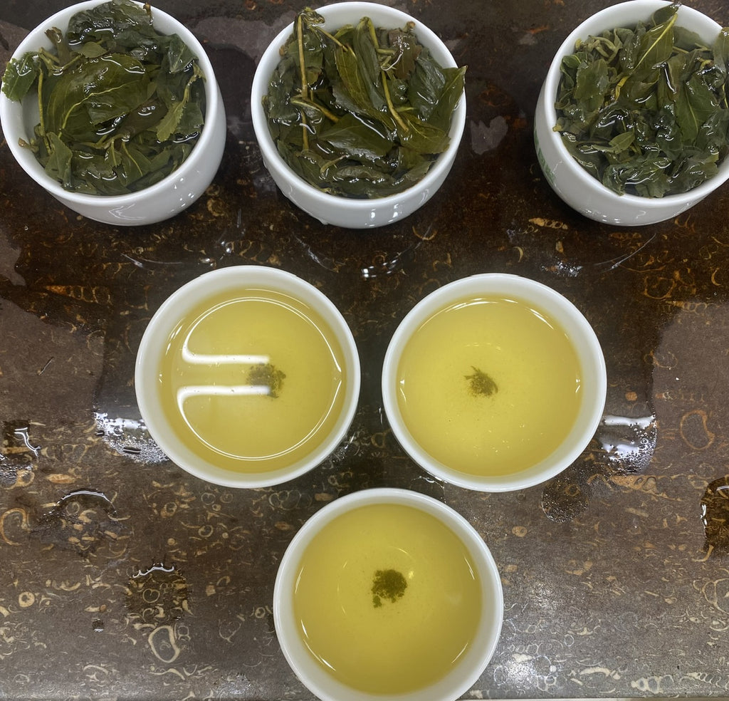 Alishan High Mountain Oolong Tea tasting summer 2023