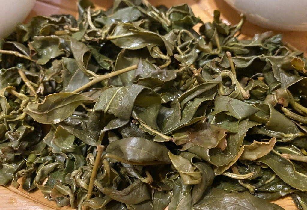 Shan Lin Xi High Mountain Oolong brewed tea leaves