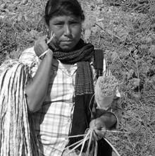 Handwoven Palm Baskets