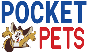 Pocket Pets - Sugar Glider Care Experts 
