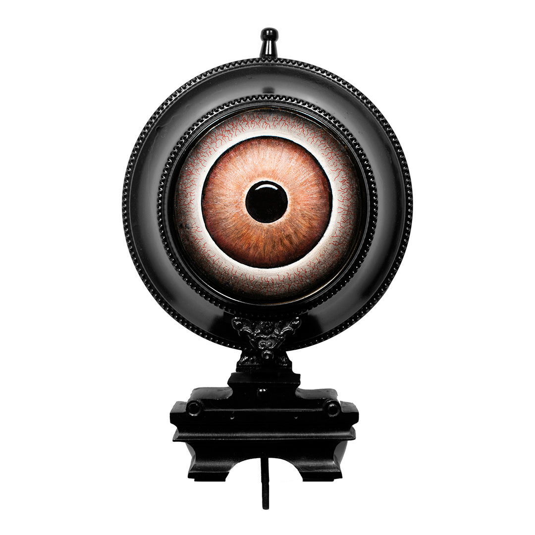 Brown Eye in Metal Clock Frame