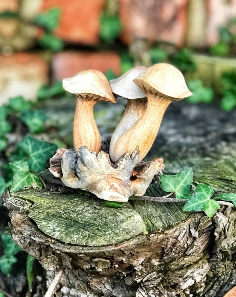 Hand Carved Wooden Mushrooms