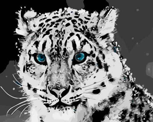 Colorear Por Numeros Tigre Blanco Con Ojos Azules