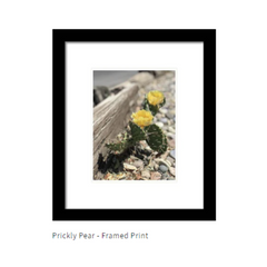 Prickly Pear Photography Framed Print