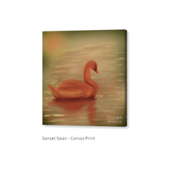 Sunset Swan Digital Canvas Print