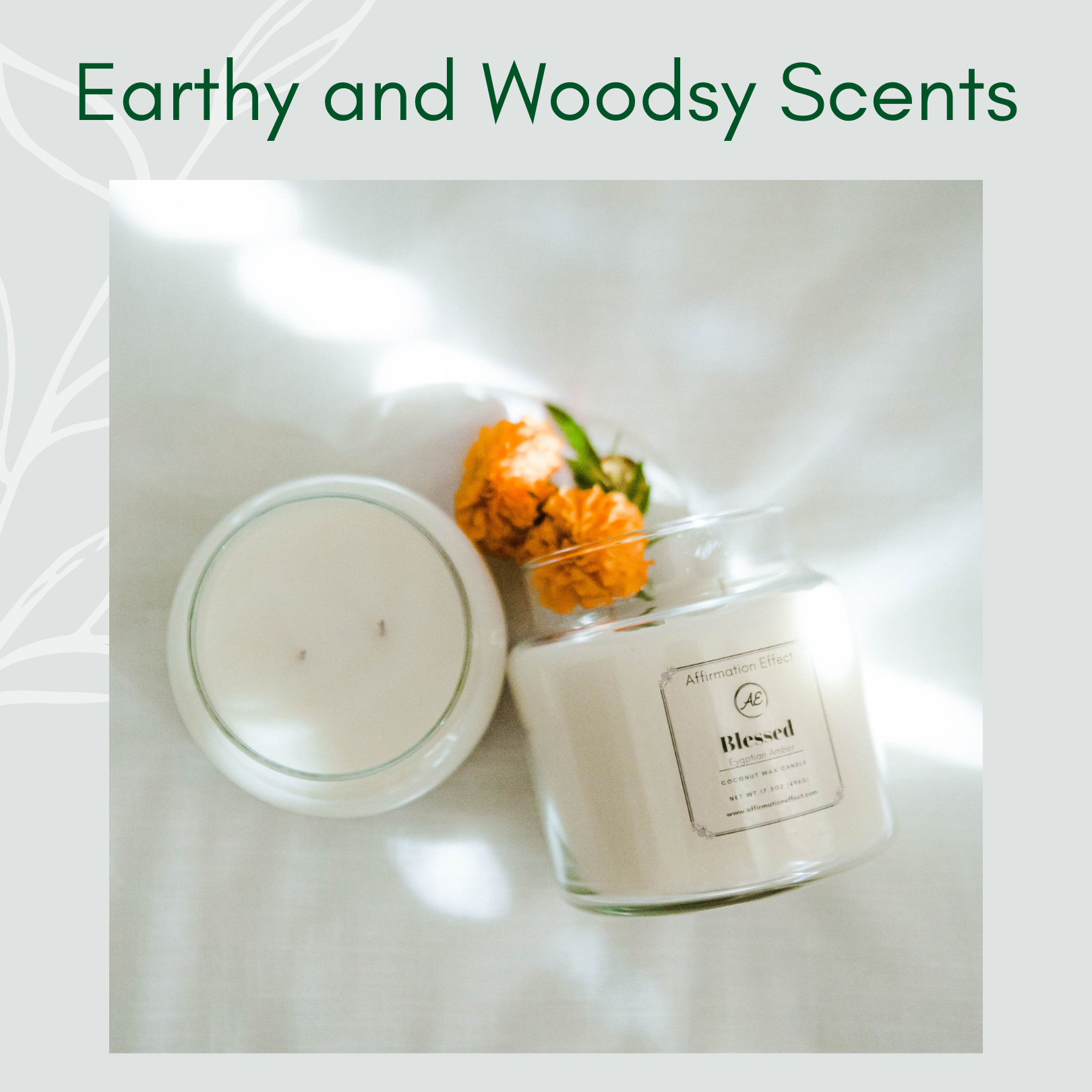 An uplifting image featuring a collection of beautifully crafted coconut wax candles. The candles showcase delicate pastel hues and are adorned with positive affirmations. The soft glow of the flickering flames casts a warm and inviting ambiance. Surrounding the candles, you'll find an assortment of natural elements, including pinecones, twigs, and dried leaves, evoking a soothing and woodsy atmosphere. The scent of the candles fills the air with a delightful aroma, combining the refreshing notes of nature with the comforting essence of the woodsy fragrance.