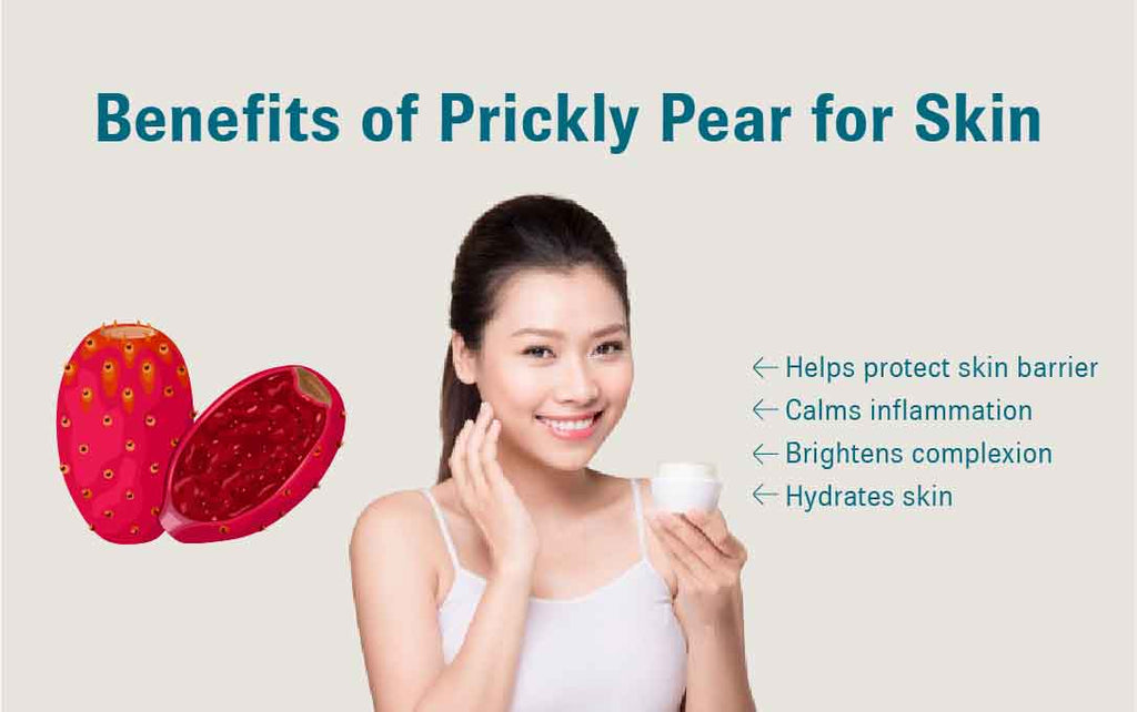 Graphic outlining some of the key benefits of prickly pear for skin.