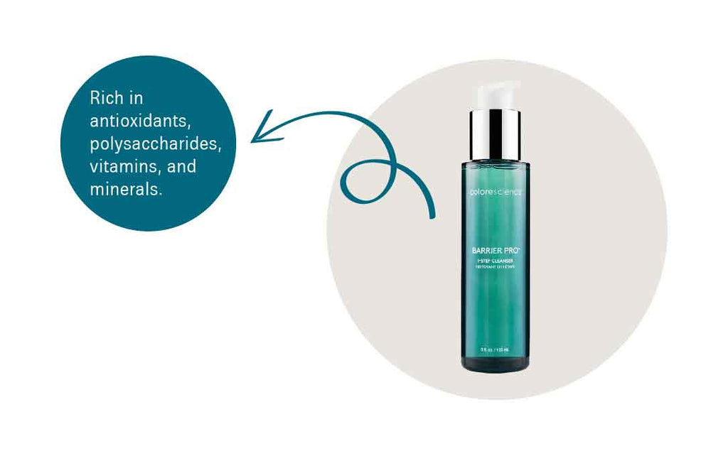 Graphic showing a bottle of Prickly Pear extract cleanser that says "Rich in antioxidants, polysaccharides, vitamins, and minerals.