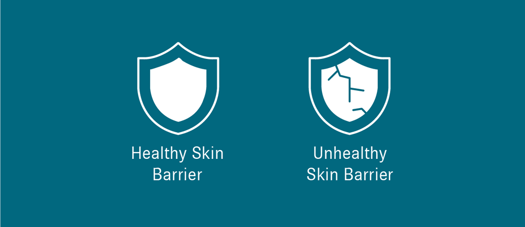 Graphic showing two shields, the one on the left is normal, the one on the right is cracked. Below the left one, there’s text that reads, “Healthy Skin Barrier”. Below the right one, there’s text that reads “Unhealthy Skin Barrier”.