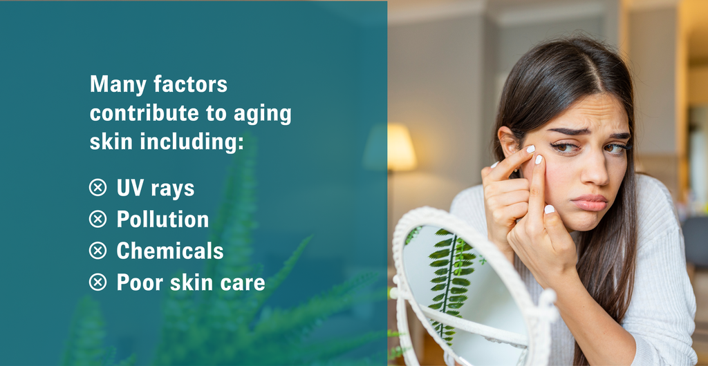 Factors that contribute to aging skin