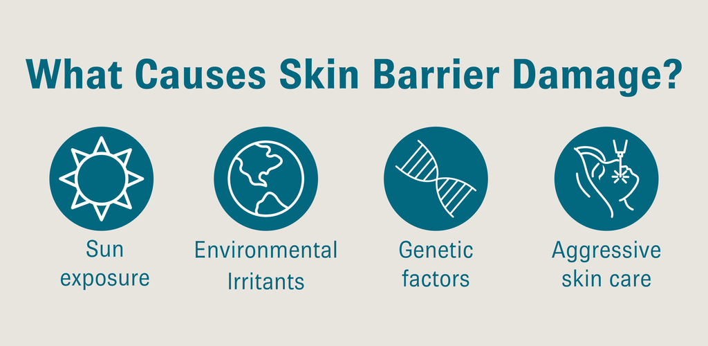 Causes of skin barrier damage