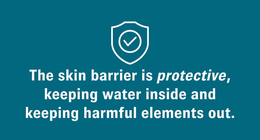 The skin barrier is protective