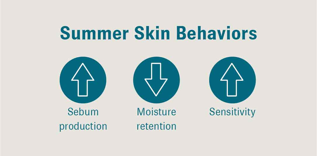 Graphic featuring text that reads, “Summer Skin Behaviors: Sebum production (with an up arrow icon); Moisture retention (with a down arrow icon); Sensitivity (with an up arrow icon)”.