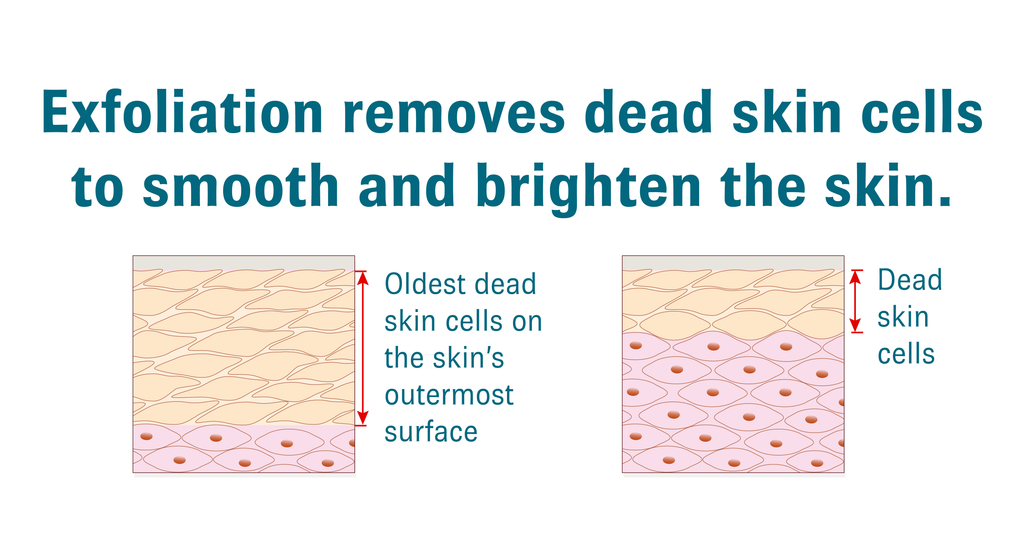 Diagrams showing dead skin cells build up on the outer surface of skin with text above them that reads, “Exfoliation removes dead skin cells to smooth and brighten the skin.”