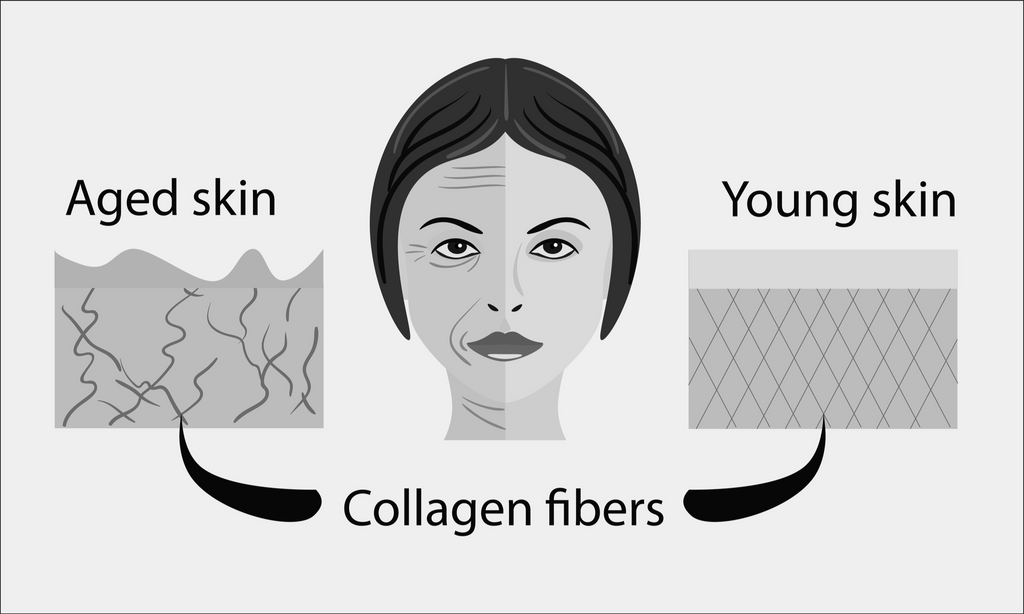 UV radiation impact on skin