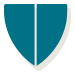 shield icon